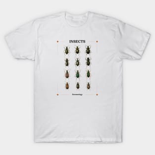 Insects II T-Shirt